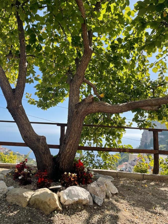 شقة Casa Enzo Con Vista Mare أمالفي المظهر الخارجي الصورة